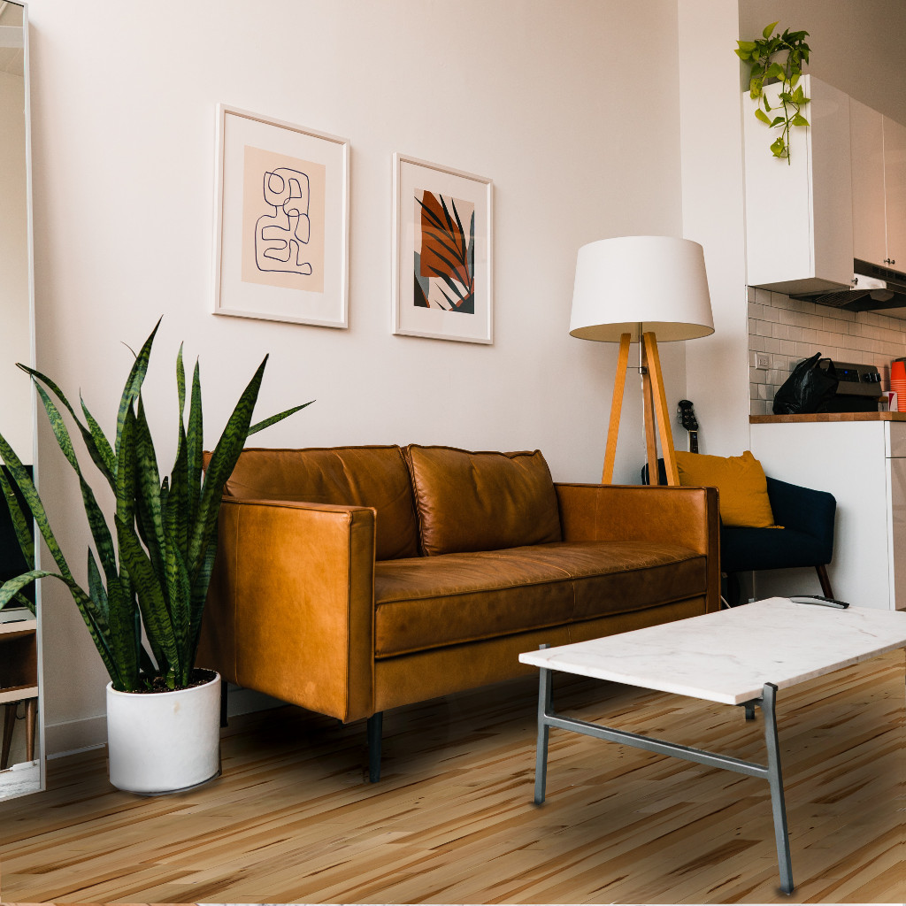 Castle-Hill-room-scene-web