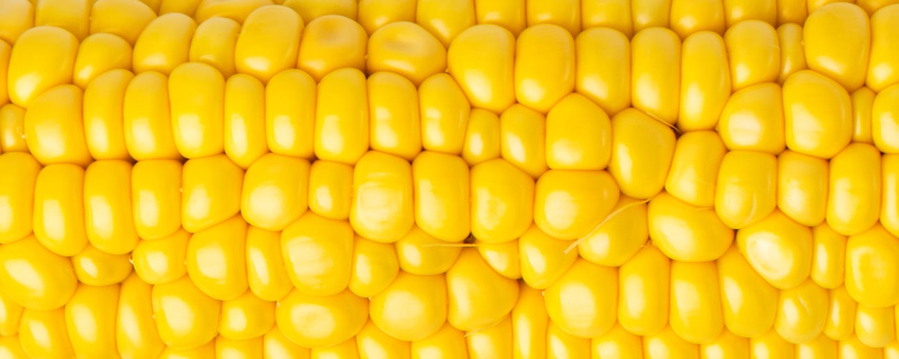 Corn 