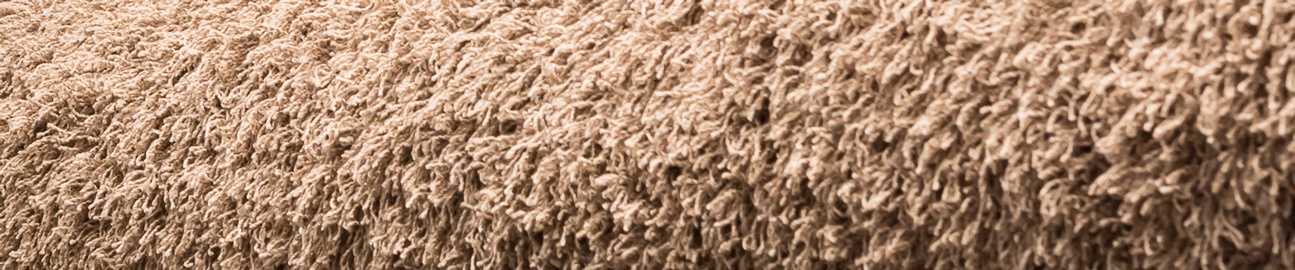 replace-carpet-savannah.jpg
