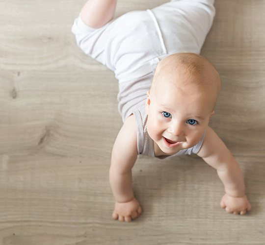 How to Prolong the Life of Your Hardwood Floor image