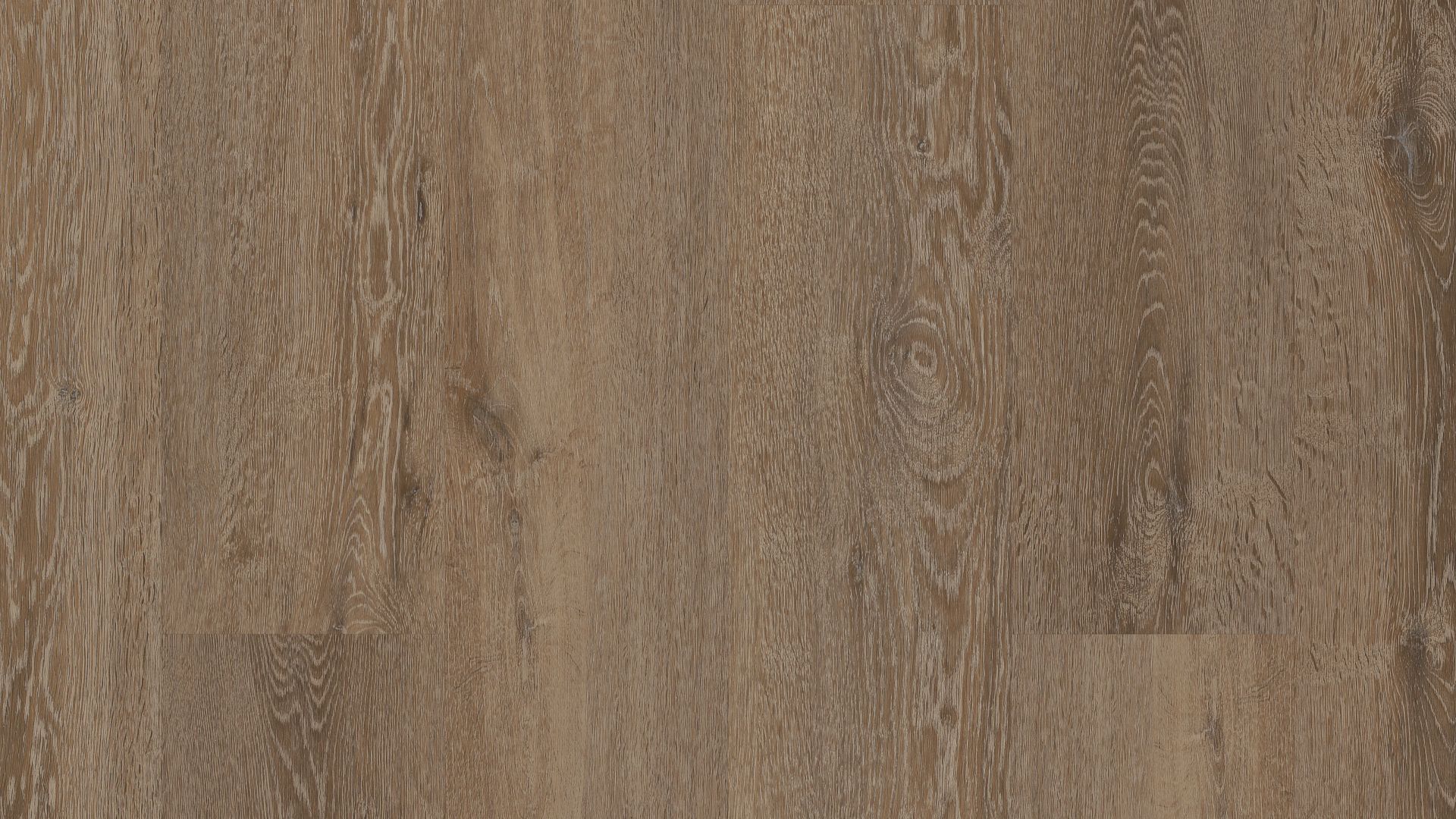 Laurent Oak